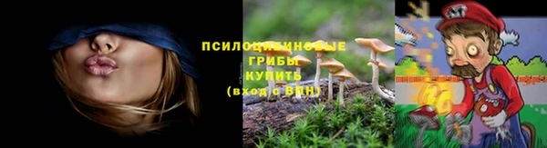 каннабис Няндома