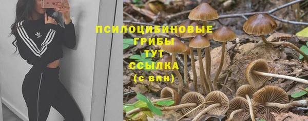 амфетамин Нязепетровск